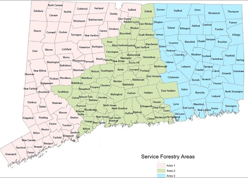Service Forestry Area Map